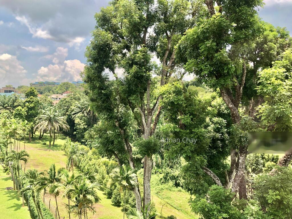 Adam Park Condominium thumbnail photo